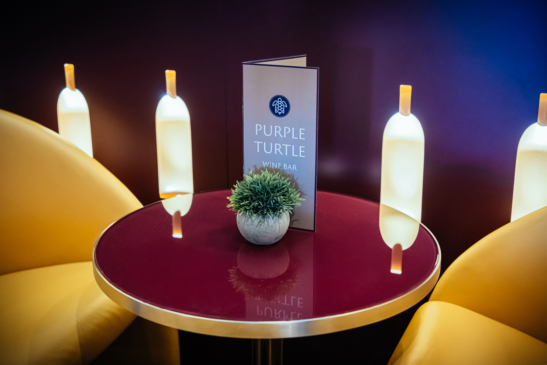 Ambition - Purple Turtle